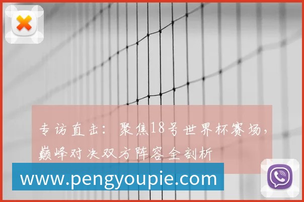 专访直击：聚焦18号世界杯赛场，巅峰对决双方阵容全剖析